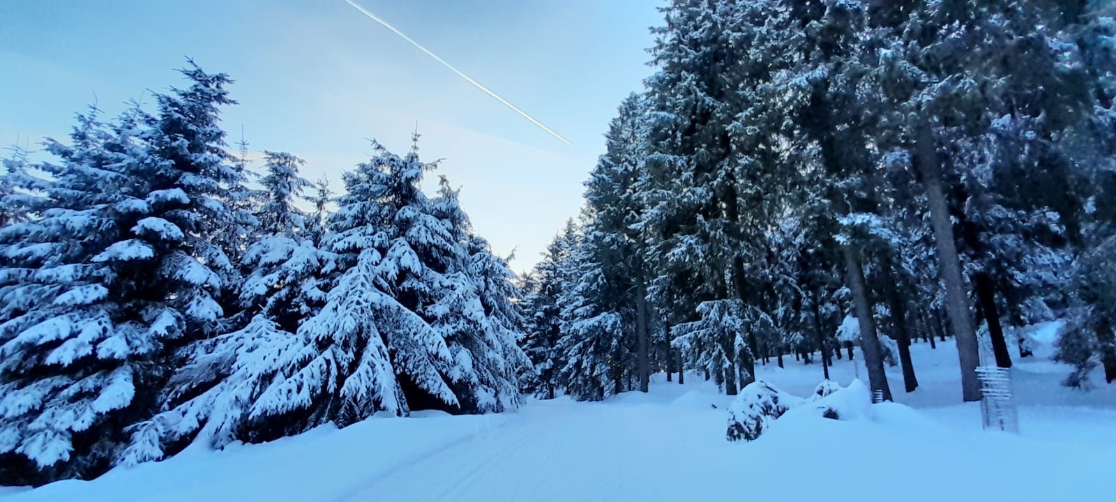 Der Thüringer Wald in der Abenddämmerung Foto Abenddämmerung