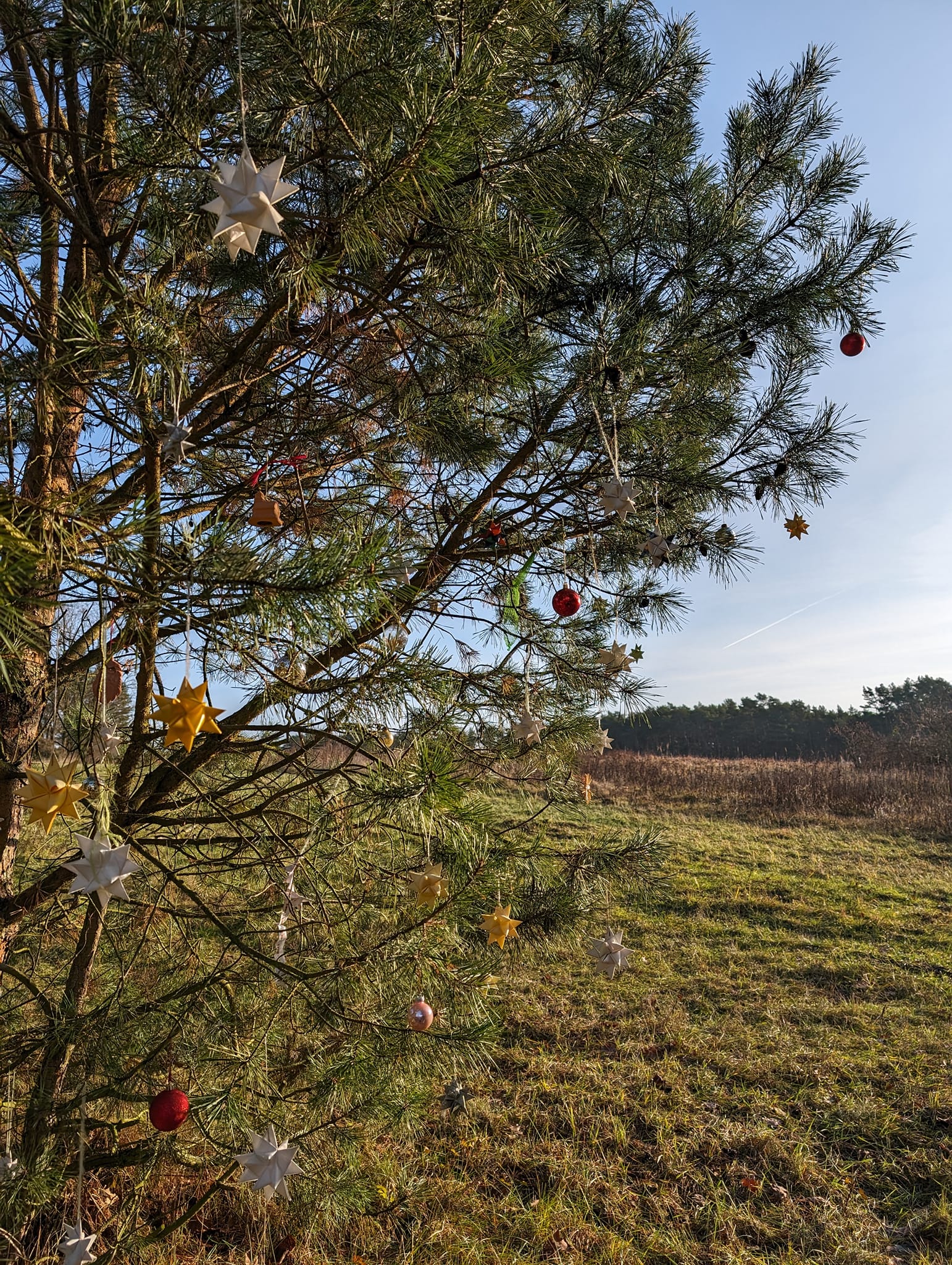 Titelbild Adventswanderung